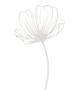 file 00000000bcd8720a945c867c6a5bfd58